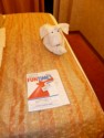 The ship's events and a towel doggy